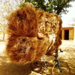 Un vélo garé avec un tas de foin. Le propriétaire se repose.